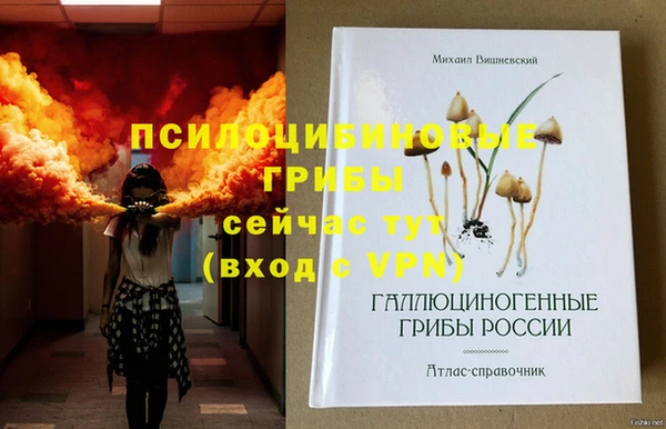 Альфа ПВП Абаза