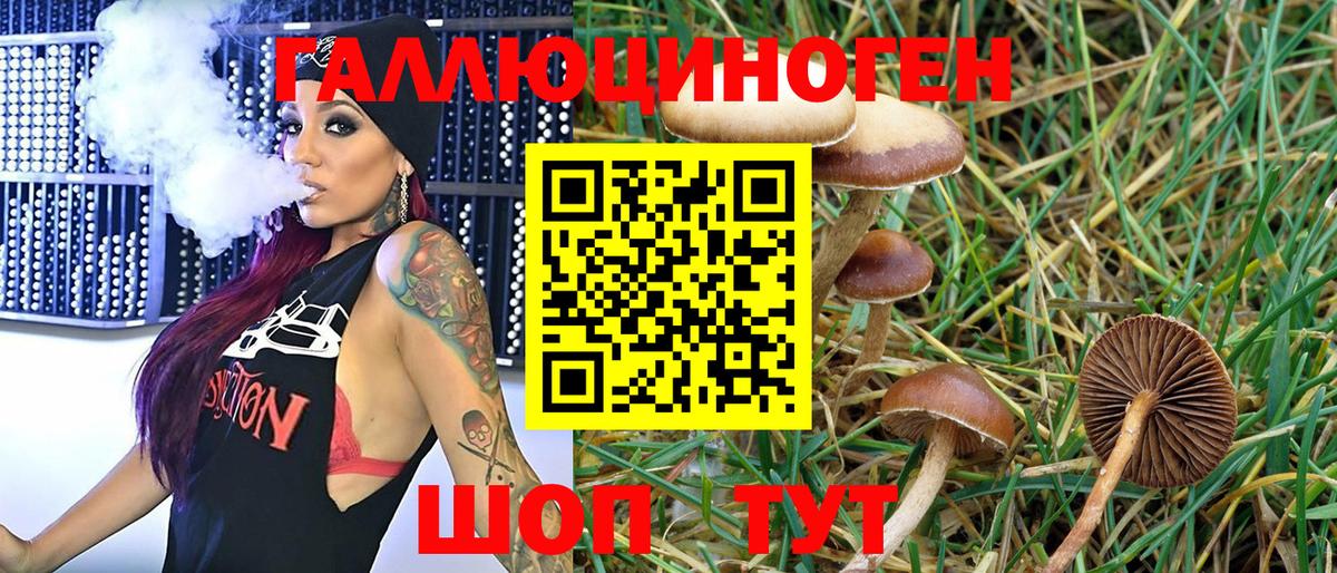 Кимовск  Галлюциногенные грибы MAGIC MUSHROOMS  Вход с VPN 